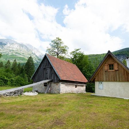 Cottages Kravanja Trenta Kültér fotó