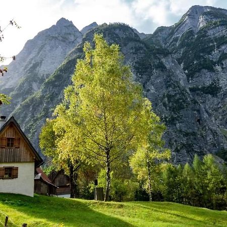 Cottages Kravanja Trenta Kültér fotó