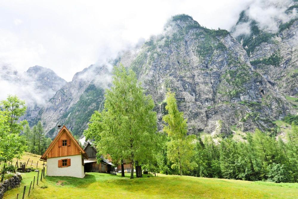 Cottages Kravanja Trenta Kültér fotó