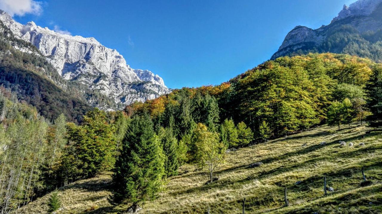 Cottages Kravanja Trenta Kültér fotó