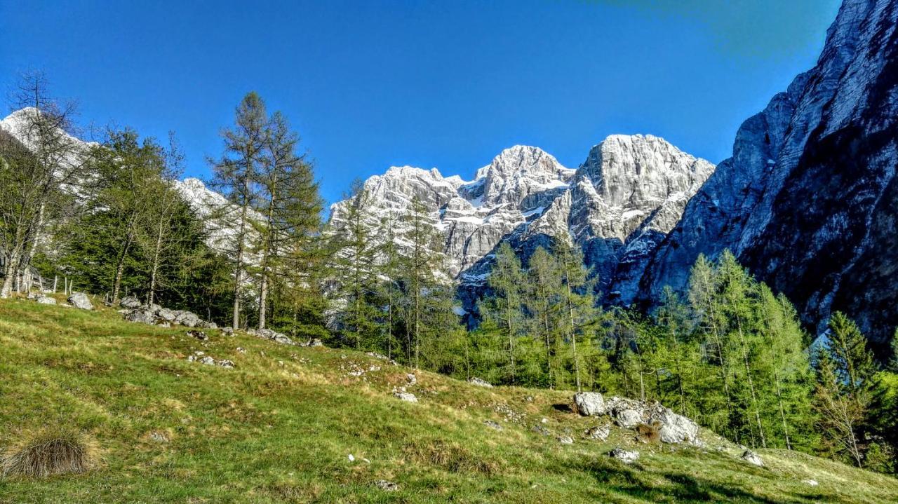 Cottages Kravanja Trenta Kültér fotó
