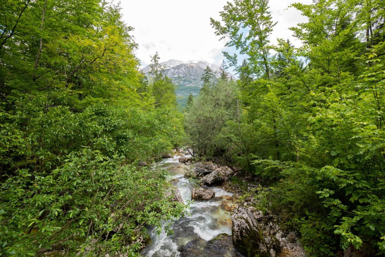 Cottages Kravanja Trenta Kültér fotó