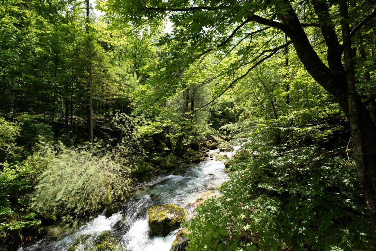 Cottages Kravanja Trenta Kültér fotó