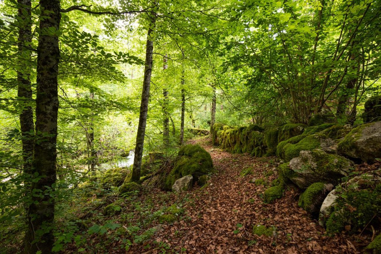 Cottages Kravanja Trenta Kültér fotó