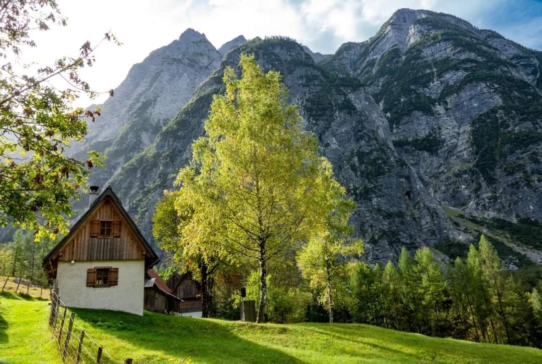 Cottages Kravanja Trenta Kültér fotó